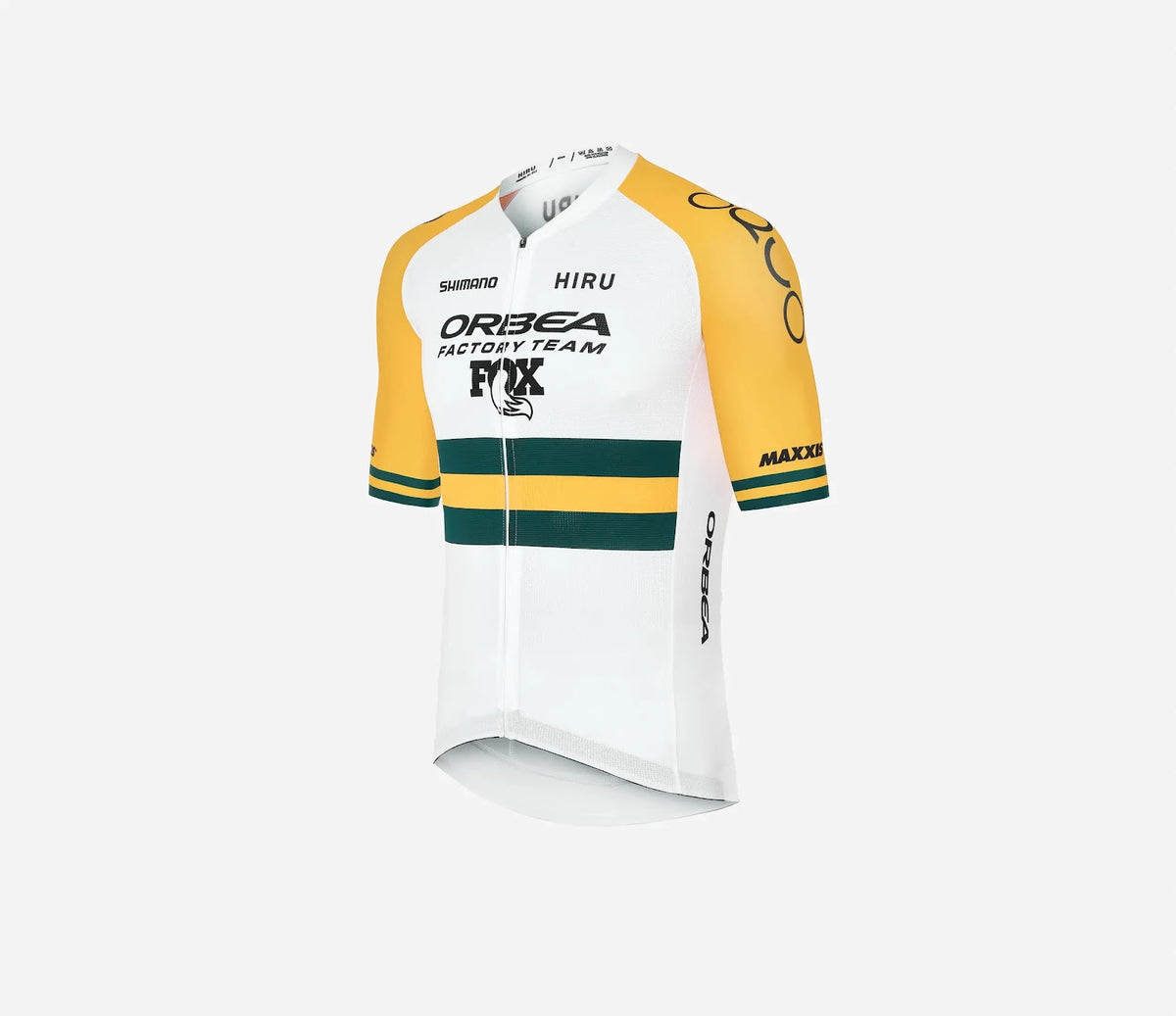 SFDJ546Q