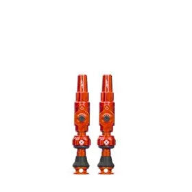 725465_t